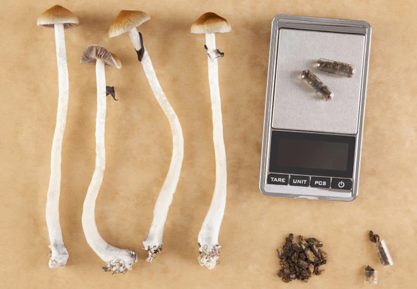 Order Microdosing Mushrooms