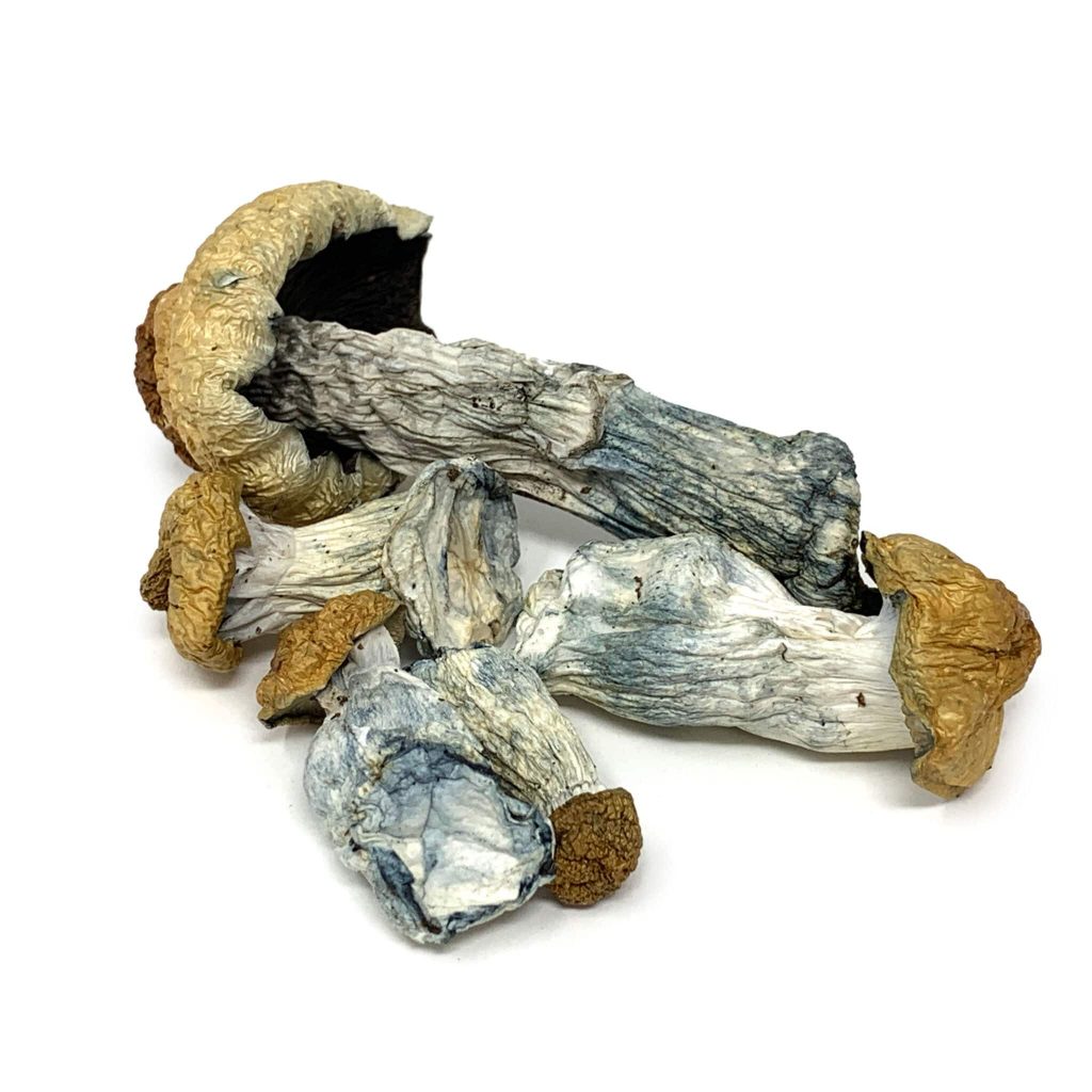 Buy Psilocybin Mushrooms Deschutes