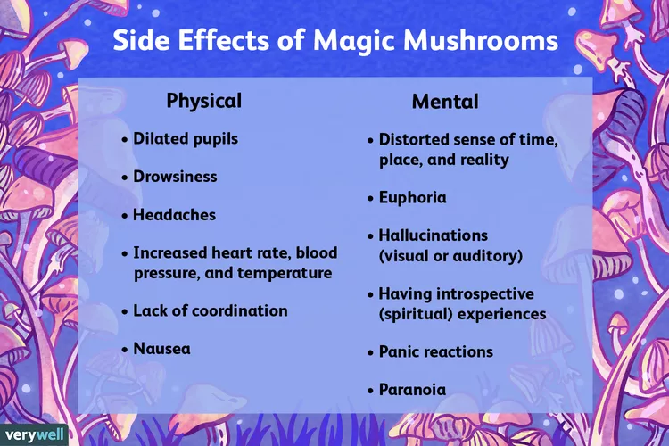 buy magic mushrooms usa
