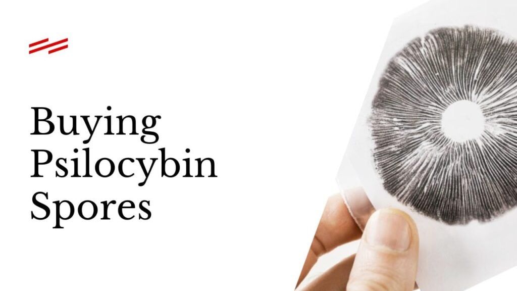 You are currently viewing Where To Buy Psilocybin Mushroom Spores Near Me Online