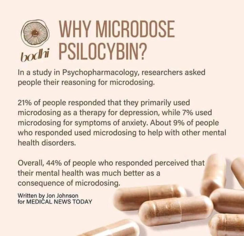 Buy Psilocybin Microdose Capsules