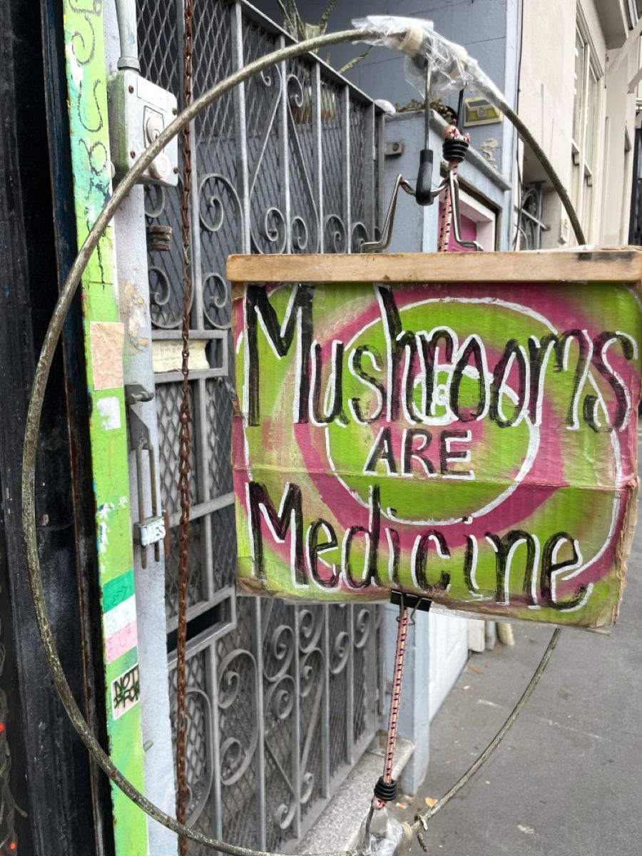You are currently viewing Kansas Magic Mushrooms Store: Psychedelic Mushrooms