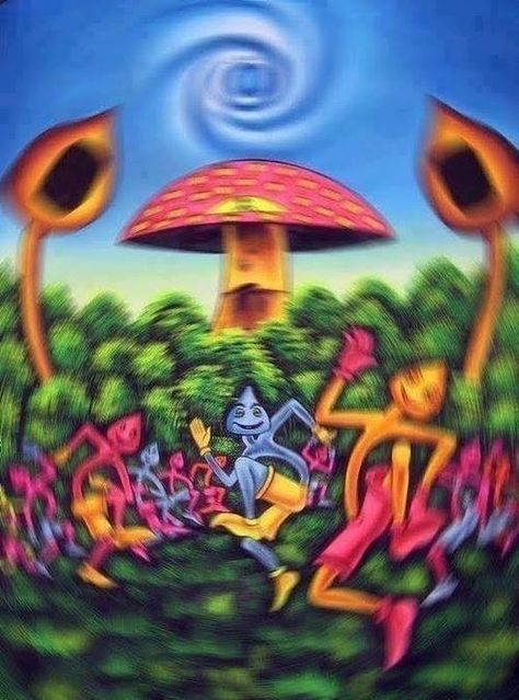 You are currently viewing Best Place To Buy Magic Mushrooms Online In USA & Canada