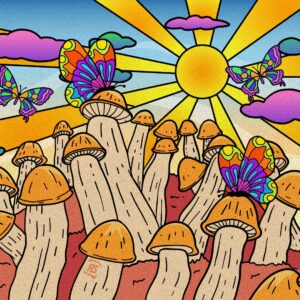 Read more about the article Lane Magic Mushrooms Store: Buy Magic Mushrooms Online