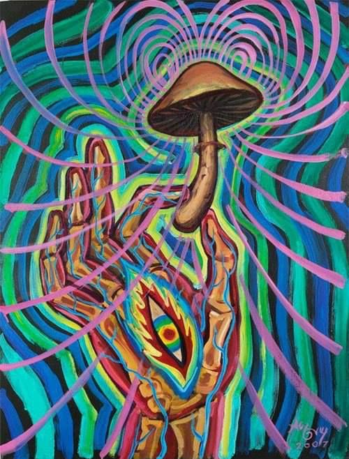 You are currently viewing Where To Buy Psilocybin Mushrooms Online In Portland