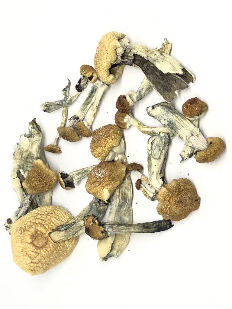 You are currently viewing Psilocybin have Recently Been Shown To Produce Sustained Benefit