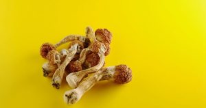 Read more about the article Can Magic Mushrooms Treat Physical Pain?
