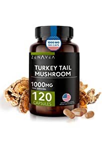 Turkey Tail Mushroom Capsules For Sale