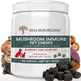 Medicinal Mushrooms for Pets