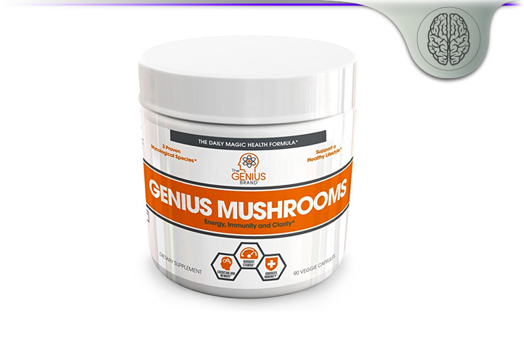 Best Medicinal Mushroom Blend - Genius Mushrooms