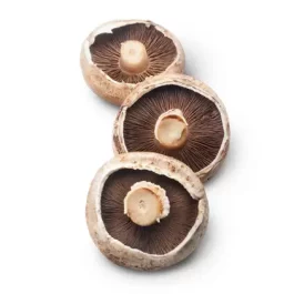Portobello Mushroom (Agaricus bisporus)