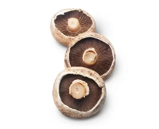 Mushrooms Used For Medicinal Purposes