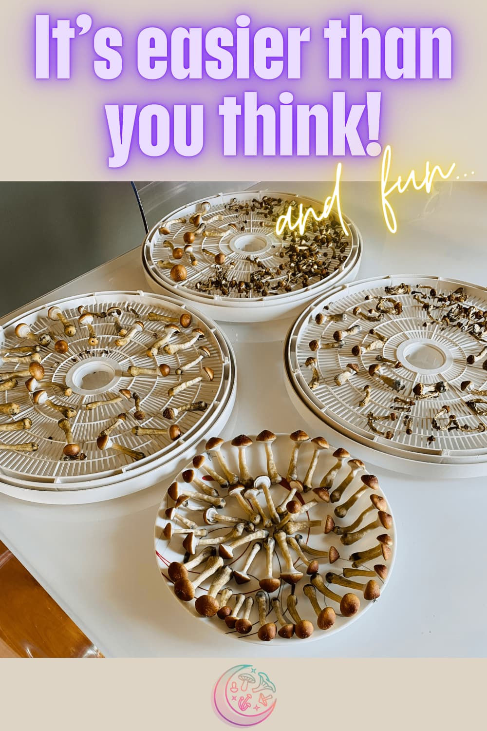 You are currently viewing Accessing Magic Mushrooms In USA: What You Need to Know