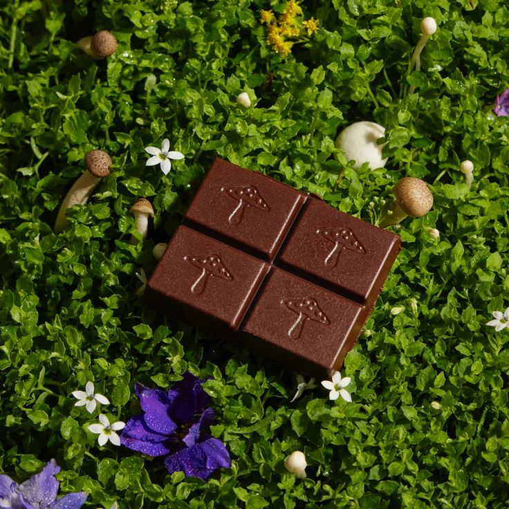 You are currently viewing Safe Use of Mushroom Chocolate Bars In USA: Dosage, Timing, and Environment