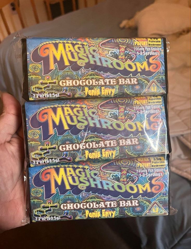 You are currently viewing What Are Mushroom Chocolate Bars and Why Are They So Popular in the USA?